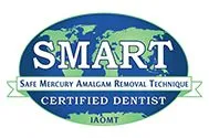 Smart Amalgam Logo